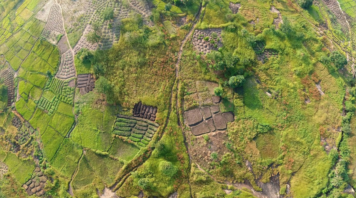 Agriculture in sub-saharan Africa