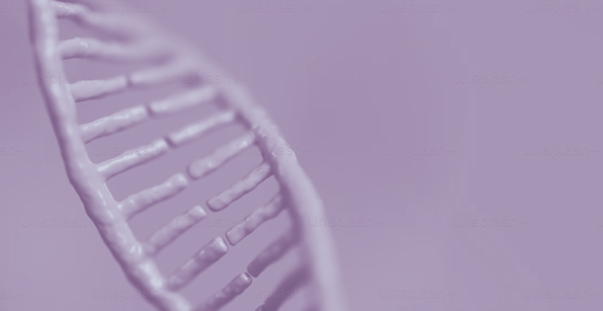 The startup legacy of the Human Genome Project